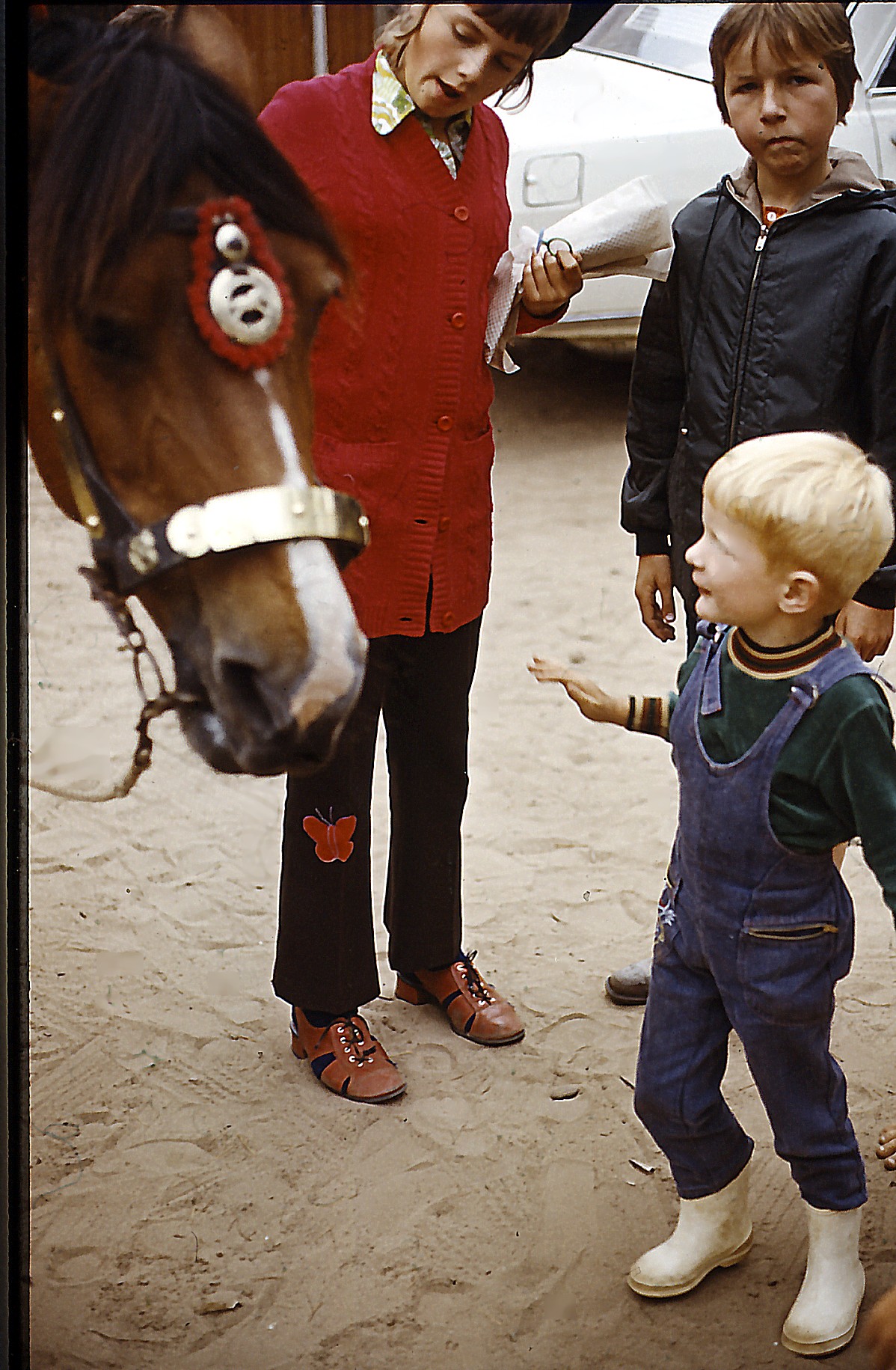 Jaco and a real horsey